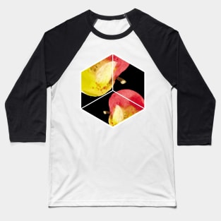 Thanksgiving Apple Fruit Hexagon Abstract Wall Art Baseball T-Shirt